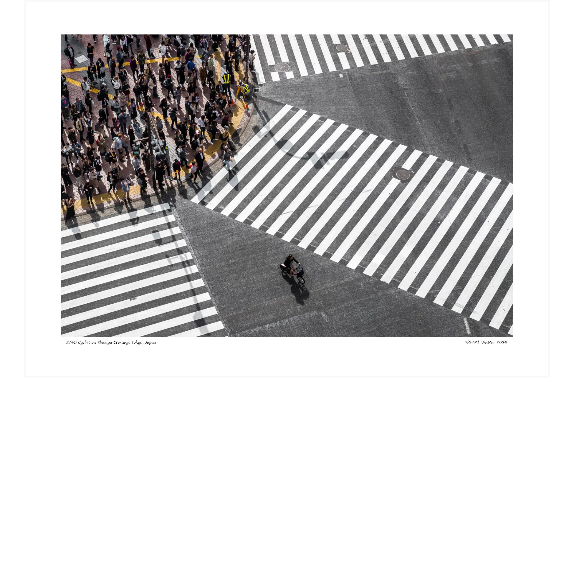 Cyclist+on+Shibuya+Crossing,+